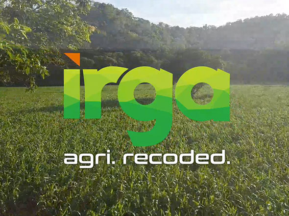 590x440 irga corp