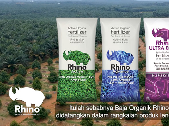 590x440 rhino